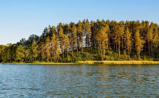 7_Mėčiūnų piliakalnis.jpg
